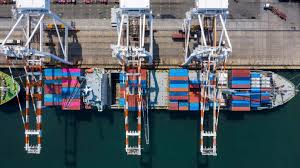 Ship's Management - Marine Surveyor Consultant Sagl